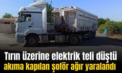 Üzerine elektrik teli düşen tırın sürücüsü ağır yaralandı