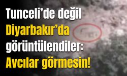 Tunceli’de değil Diyarbakır’da görüntülendiler: Avcılar görmesin!