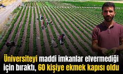 Diyarbakırlı genç, üniversiteyi bırakıp biber yetiştirerek 60 kişiye istihdam sağladı