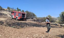 Anız yangını fıstık bahçelerine sıçradı! Bir çok ağaç zarar gördü