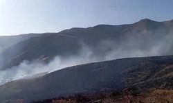 Bingöl'de çıkan orman yangını söndürüldü