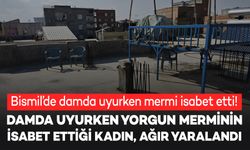 Bismil’de damda uyuyan kadın, yorgun merminin isabet etmesi ile ağır yaralandı