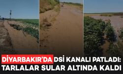 Diyarbakır’da DSİ kanalı patladı: Tarlalar sular altında kaldı