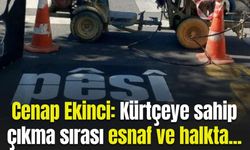 Cenap Ekinci: Kürtçeye sahip çıkma sırası esnaf ve halkta...