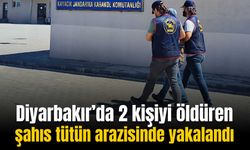 Diyarbakır’da 2 kişiyi öldüren şahıs tütün arazisinde yakalandı