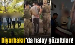 Diyarbakır’da halay gözaltıları: 5 kişi yakalandı 2 kişi aranıyor!