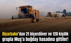 Diyarbakırlı biçerdöver operatörleri Muş'ta buğday hasadında