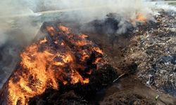 Kırklareli'nde geri dönüşüm tesisinde yangın