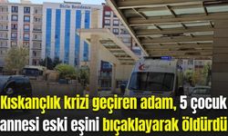 Kıskançlık krizi geçiren adam, eski eşini bıçakla öldürüp intihara kalkıştı