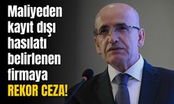 Dikkat bunu yapan vergi mükellefleri yandı: Maliyeden rekor ceza!