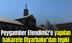 Peygamber Efendimiz'e yapılan hakarete Diyarbakır'dan tepki