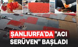 Şanlıurfa’da "İsot Serüveni" Başladı