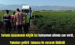 Tarlada uyuyakalan küçük kız kamyonun altında can verdi, yakınları şoförü vurarak öldürdü