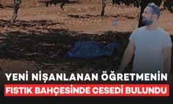 Yeni nişanlanan öğretmenin fıstık bahçesinde cesedi bulundu