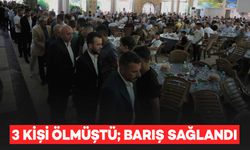 3 kişi ölmüştü; Mardin'de husumetli iki aile barıştırıldı