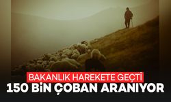 Bakanlık Harekete Geçti: 150 Bin Çoban Aranıyor