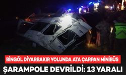 Bingöl Diyarbakır yolunda ata çarpan minibüs şarampole devrildi: 13 yaralı