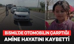 Bismil’de otomobilin çarptığı Amine kurtarılamadı