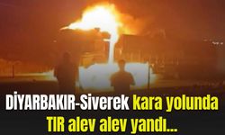 Diyarbakır-Siverek kara yolunda TIR alevlere teslim oldu