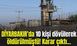 Diyarbakır’da 10 kişi dövülerek öldürülmüştü! İşte detaylar...