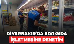 Diyarbakır'da Kırsal İlçelerde 500 Gıda İşletmesine Denetim