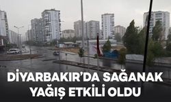 Diyarbakır’da sağanak yağış etkili oldu