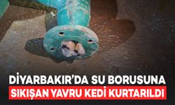 Diyarbakır’da Su Borusuna Sıkışan Yavru Kedi Kurtarıldı