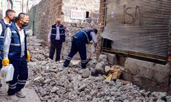 Diyarbakır’da yılan, akrep ve kemirgenlere karşı ilaçlama yapılıyor