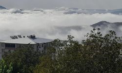 Diyarbakır'da yoğun sis