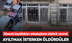 Döverek bayılttıkları arkadaşlarını ayıltmak isterken öldürdüler