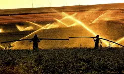 Bakan Yumaklı Açıkladı: Tarımsal Destek Ödemeleri Bugün Hesaplara Geçiyor