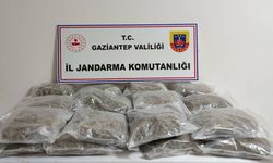 Gaziantep'te 32 kilo 400 gram skunk ele geçirildi