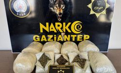 Gaziantep’te 5 kilo skunk ele geçirildi