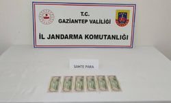 Kalpazanlık yapan şahsa jandarmadan suçüstü operasyonu