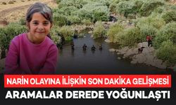 Diyarbakır’da Narin’i arama çalışmaları derede yoğunlaştı