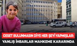 Narin'i arama çalışmaları "asılsız ihbarlar ve yanlış ifadelerle sekteye uğratılmış!