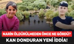 Narin öldürülmeden önce ne gördü? Kan donduran iddia!