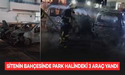 Batman'da park halindeki 3 araç yandı