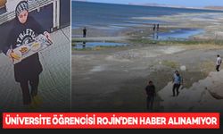 21 yaşındaki üniversite öğrencisi Rojin, 2 gündür kayıp