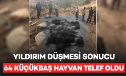 Yıldırım düşmesi sonucu 64 küçükbaş hayvan telef oldu