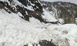 Çığ Nedeniyle 6 Köy Yolu Ulaşıma Kapandı