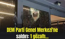 DEM Parti Genel Merkezi'ne saldırı: 1 gözaltı