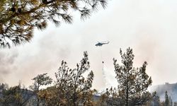 Orman Yangınına Müdahale 3. Gününde Sürüyor