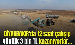 Diyarbakır'da 12 saat çalışıp günlük 3 bin TL kazanıyorlar