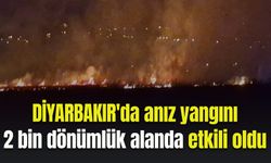 Diyarbakır'da anız yangını 2 bin dönümlük alanda etkili oldu