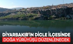 Dicle İlçesinde “Doğada Kendini Bul” Temalı Yürüyüş Etkinliği