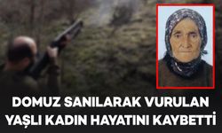 Domuz Sanılarak Vurulan Yaşlı Kadın Hayatını Kaybetti