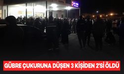 Gübre çukuruna düşen çobanı kurtarmak isteyen 2 kişi öldü, çoban ağır yaralandı