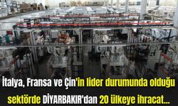 İtalya, Fransa ve Çin'in lider durumunda olduğu sektörde Diyarbakır'dan 20 ülkeye ihracat...