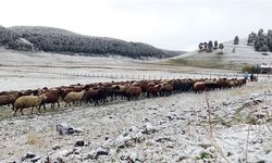 Kars'ta kar sonrası dondurucu soğuk etkili oldu